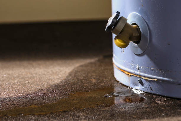 Best Residential water damage restoration  in Dover, TN