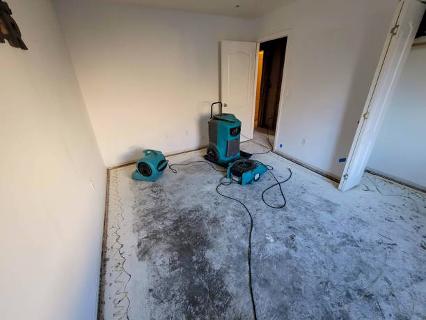 Water damage restoration insurance claims in Dover, TN