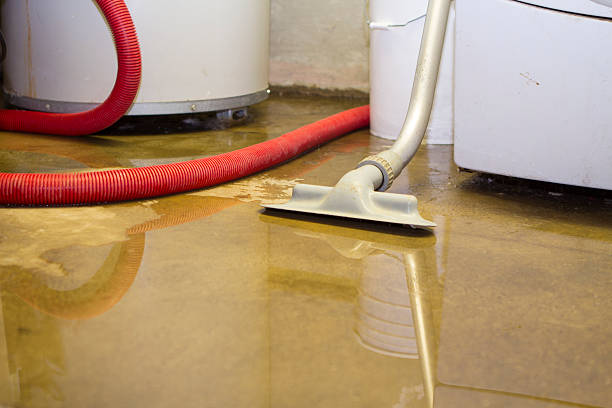 Best Residential water damage restoration  in Dover, TN