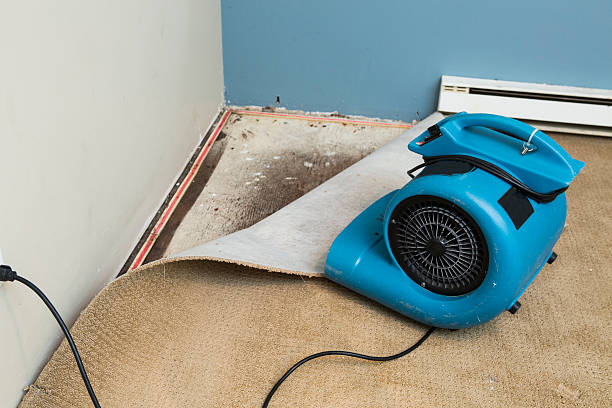 Best Flood damage cleanup  in Dover, TN